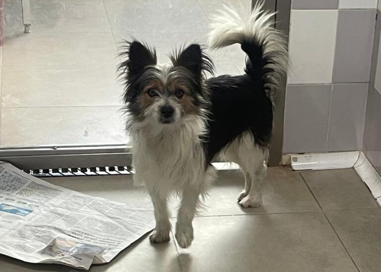 multimedia-foto76964-839-1