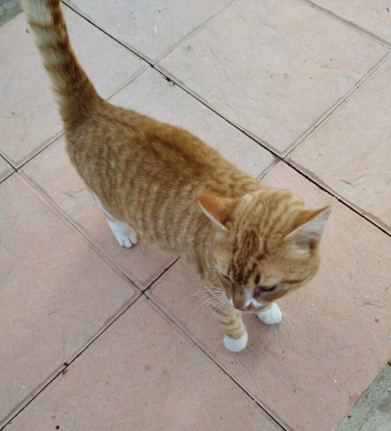 multimedia-foto76993-157-1