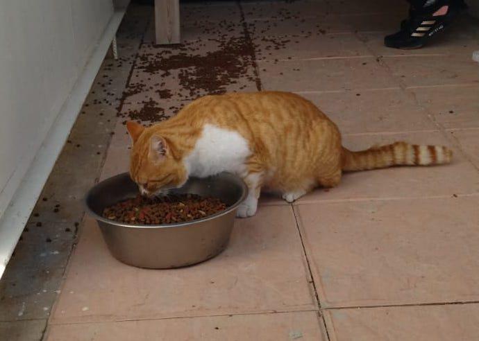 multimedia-foto76994-157-1