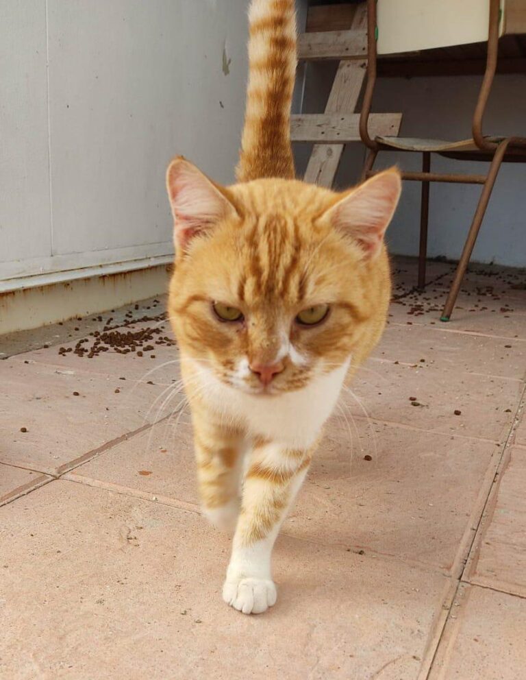 multimedia-foto76995-157-1