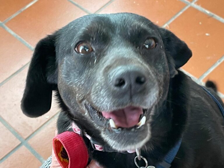 multimedia-foto77015-865-1