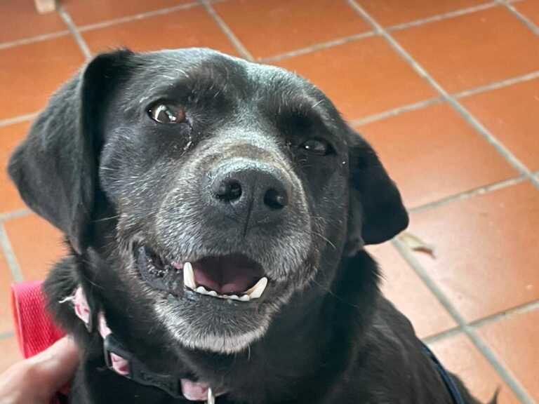 multimedia-foto77016-865-1