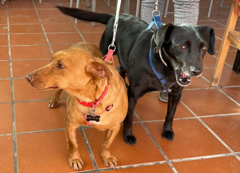 multimedia-foto77017-865-1