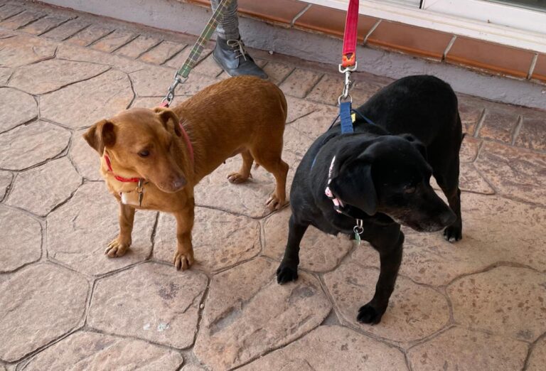 multimedia-foto77018-865-1