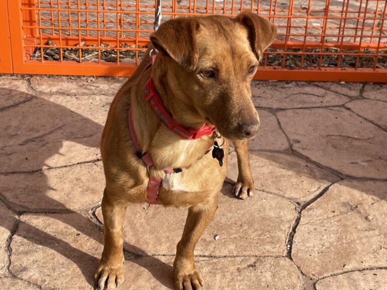 multimedia-foto77028-147-1