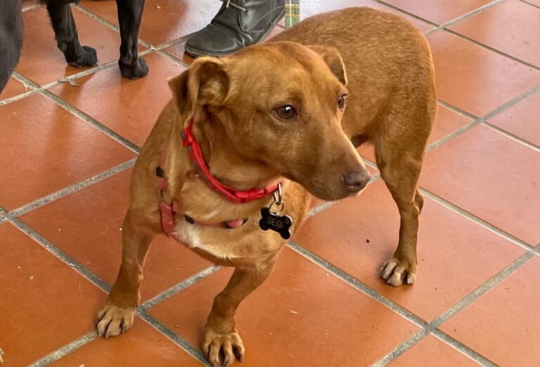 multimedia-foto77029-147-1