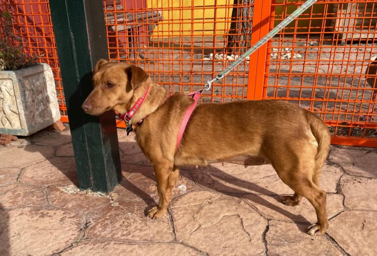 multimedia-foto77030-147-1