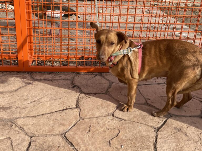 multimedia-foto77031-147-1