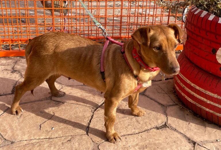 multimedia-foto77032-147-1