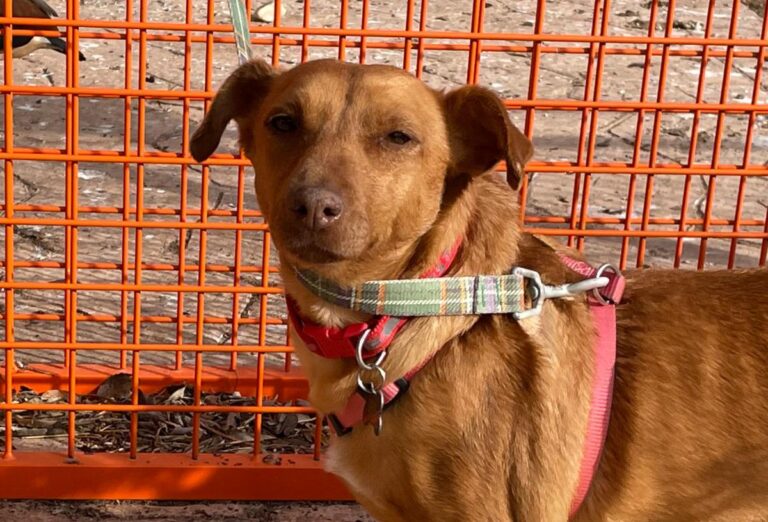 multimedia-foto77033-148-1