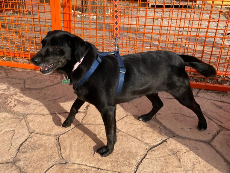 multimedia-foto77034-207-1