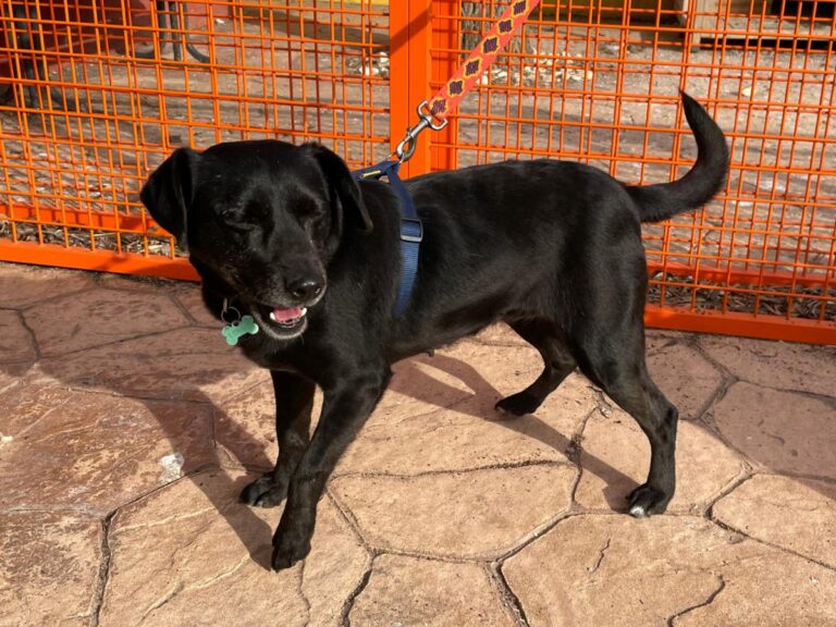 multimedia-foto77035-208-1