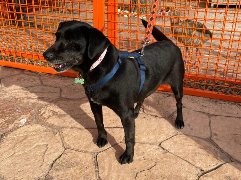 multimedia-foto77036-208-1