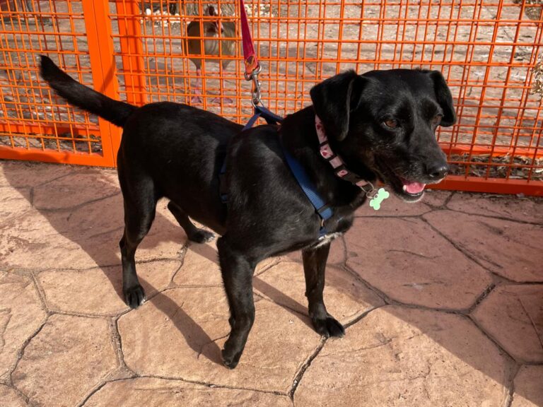 multimedia-foto77037-208-1