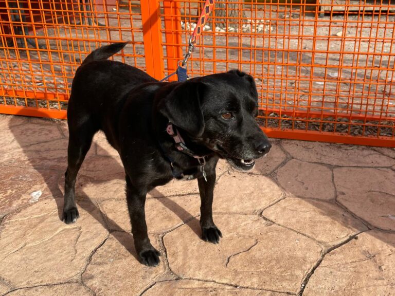 multimedia-foto77038-208-1