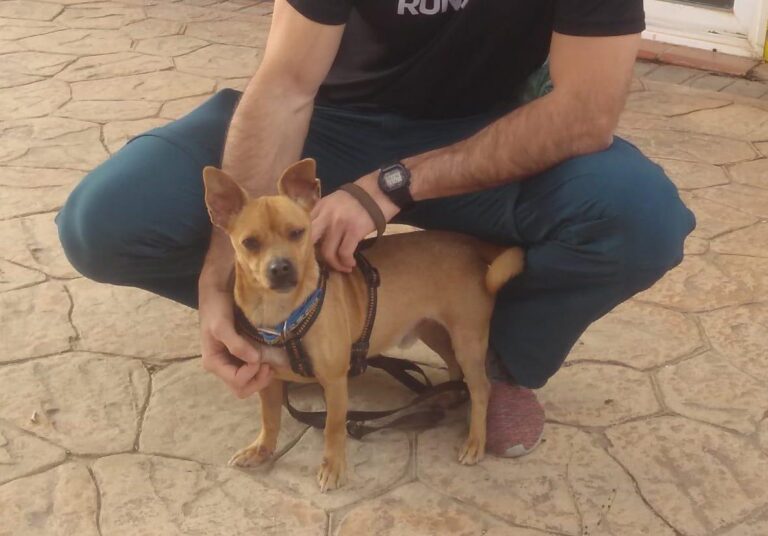 multimedia-foto77040-191-1