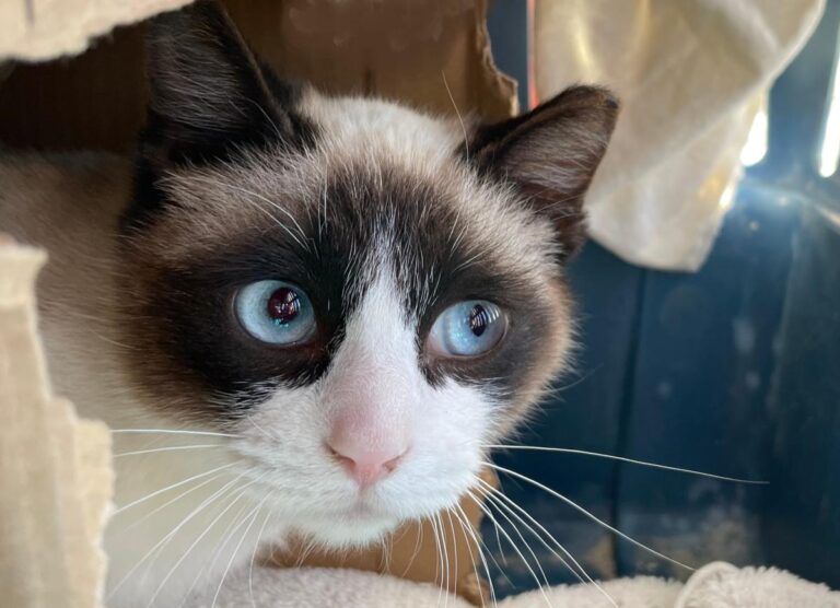 multimedia-foto77043-423-1