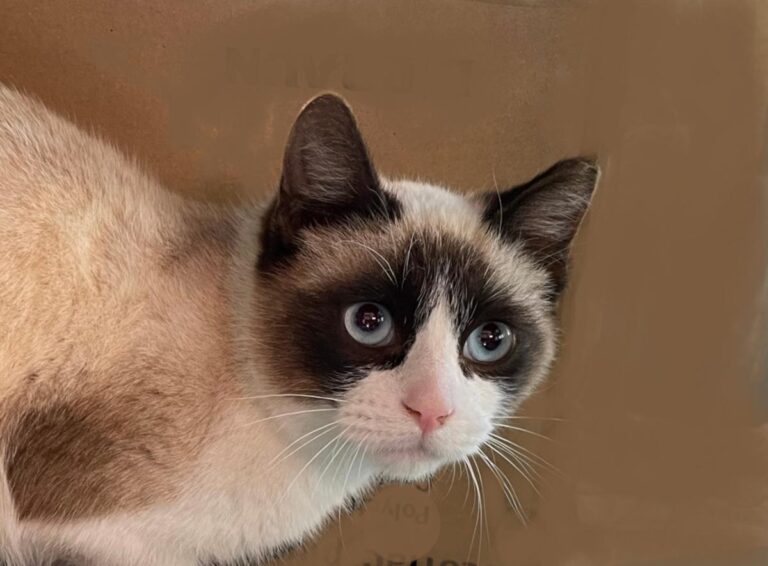 multimedia-foto77044-424-1