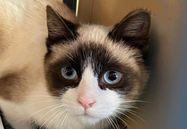 multimedia-foto77045-424-1