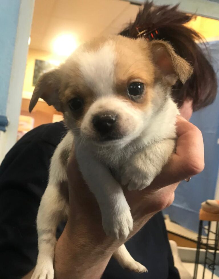 multimedia-foto77047-852-1