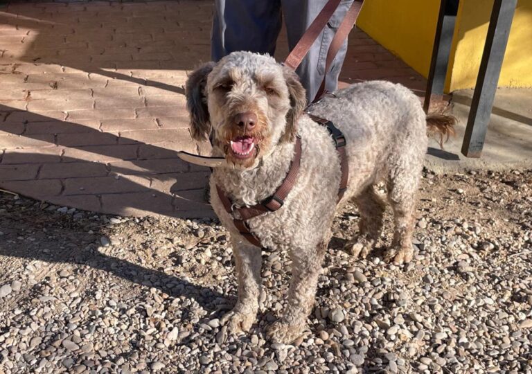 multimedia-foto77057-606-1