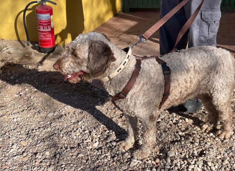 multimedia-foto77058-606-1