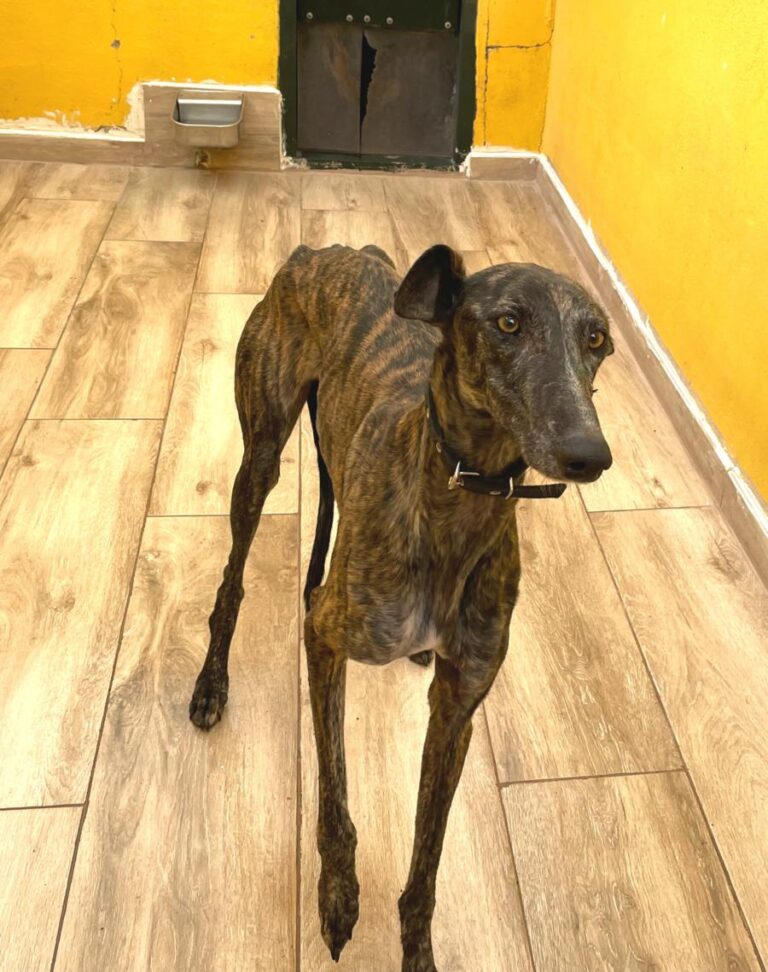 multimedia-foto77061-425-1