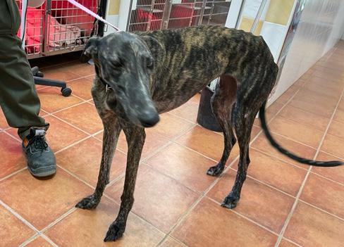 multimedia-foto77065-426-1