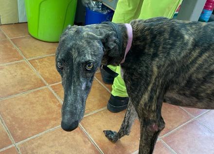 multimedia-foto77066-426-1