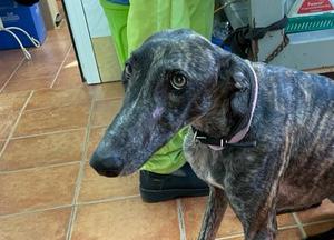 multimedia-foto77067-426-1