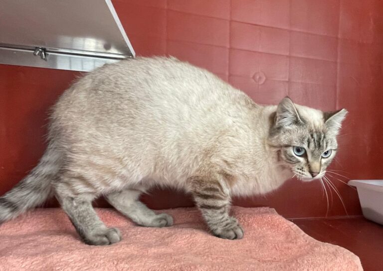 multimedia-foto77075-395-1