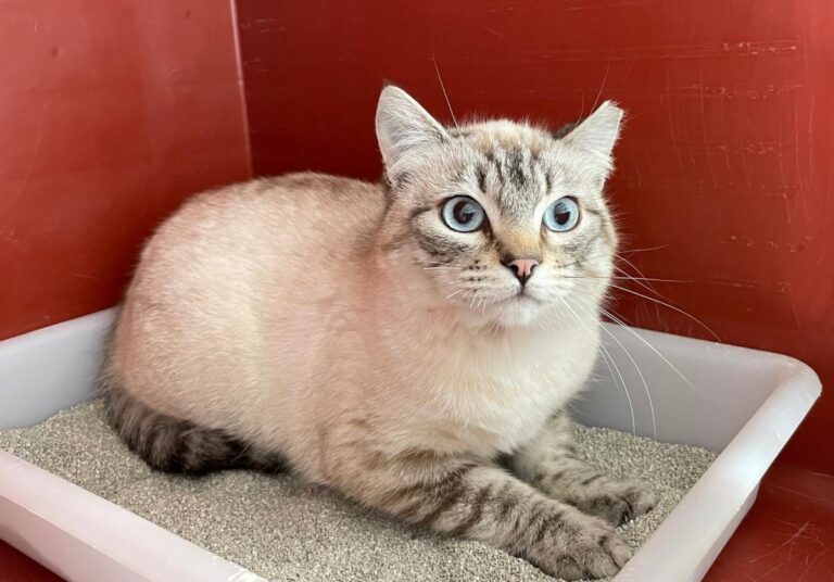 multimedia-foto77080-396-1