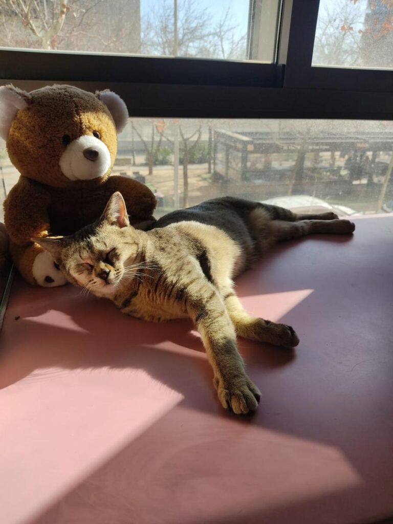 multimedia-foto77133-936-1