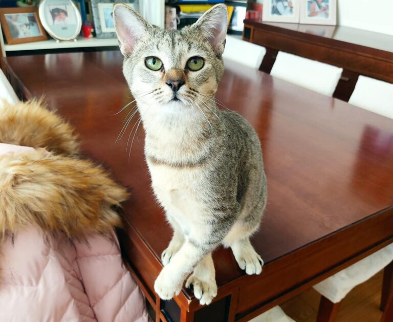 multimedia-foto77135-937-1