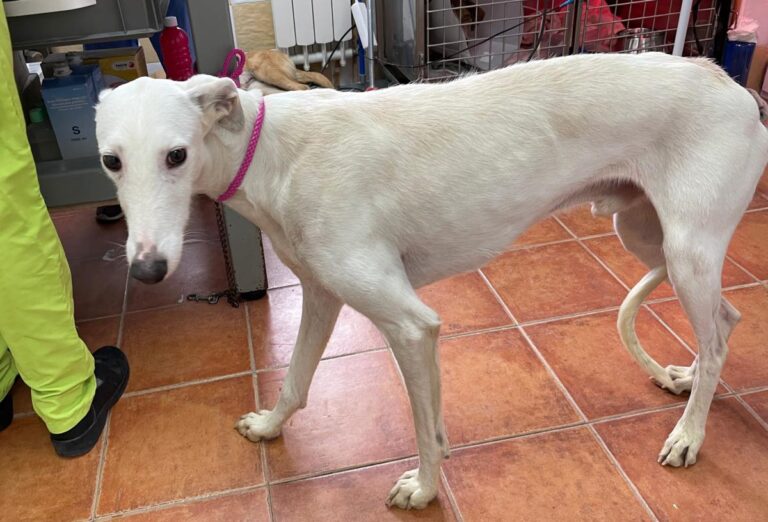 multimedia-foto77140-509-1