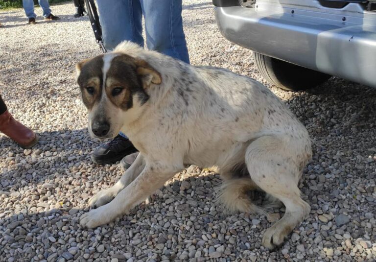 multimedia-foto77150-291-1