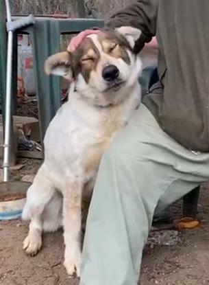 multimedia-foto77151-291-1