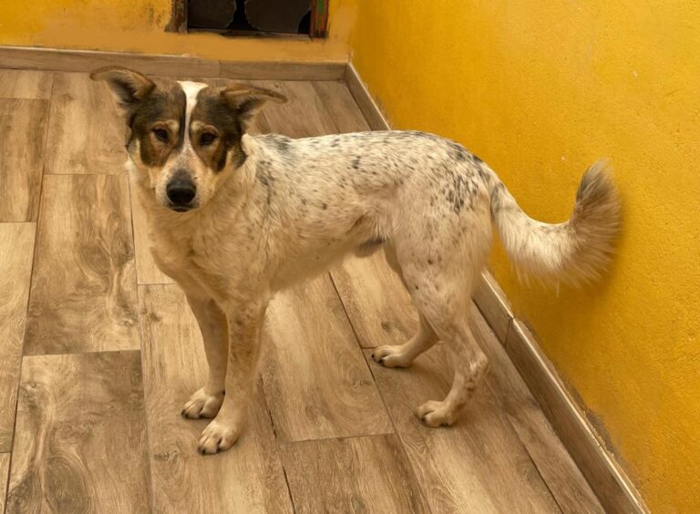 multimedia-foto77153-291-1