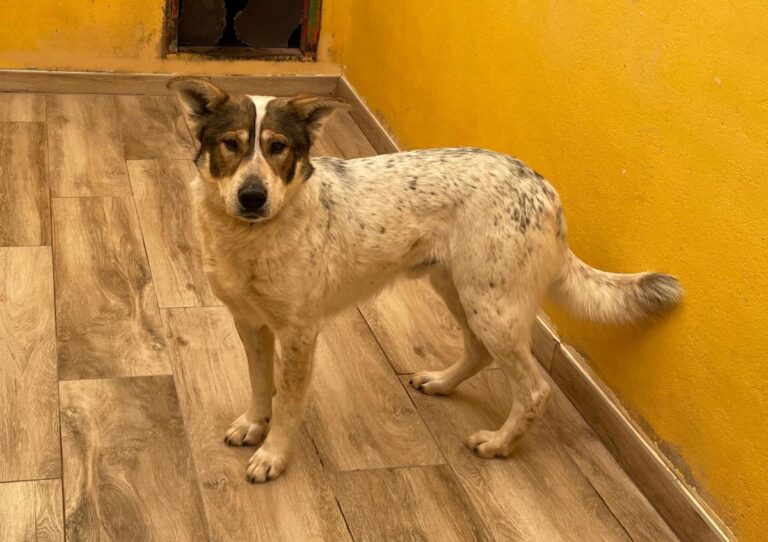 multimedia-foto77155-292-1