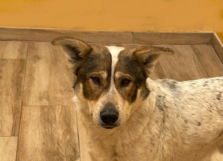 multimedia-foto77157-292-1