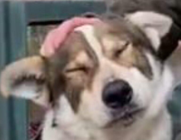 multimedia-foto77158-292-1