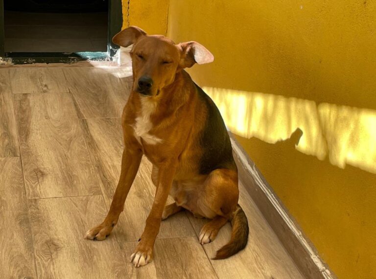 multimedia-foto77218-3-1