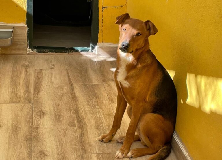 multimedia-foto77219-3-1