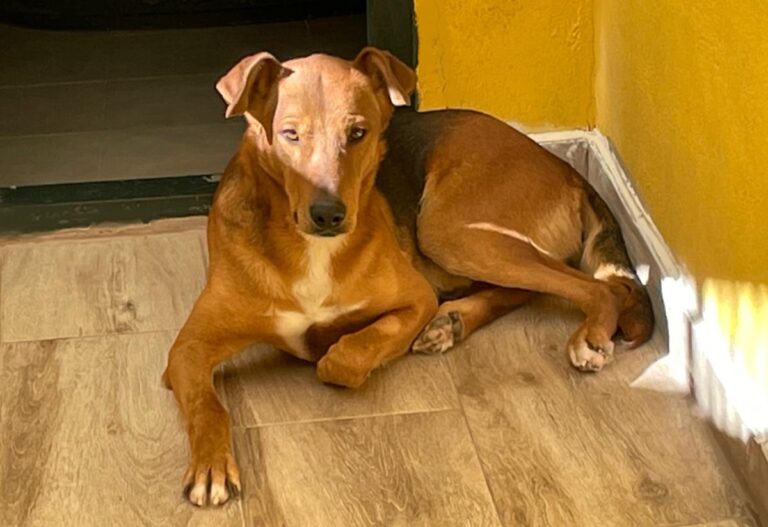 multimedia-foto77220-3-1