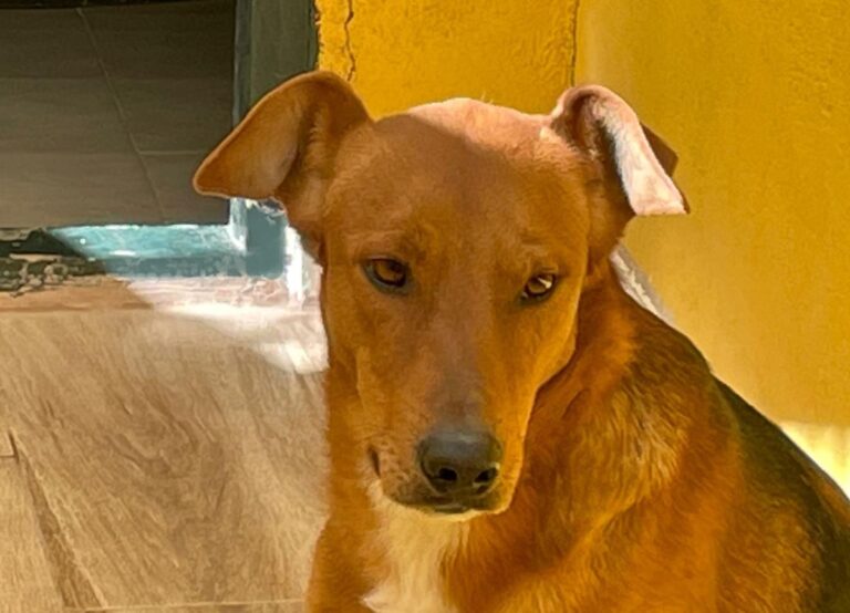 multimedia-foto77221-3-1