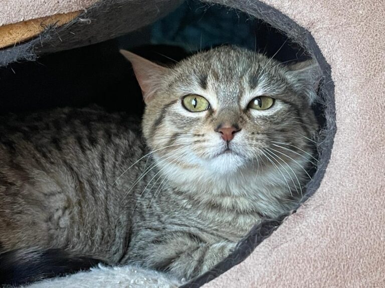 multimedia-foto77239-207-1