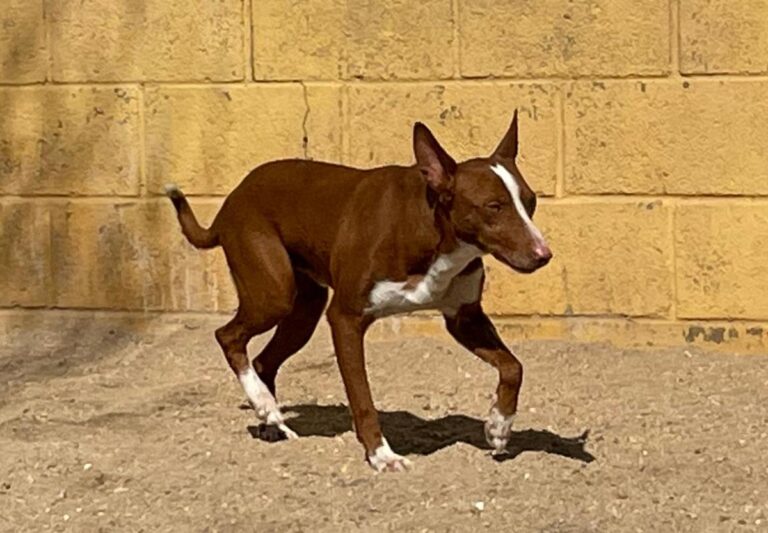 multimedia-foto77271-956-1