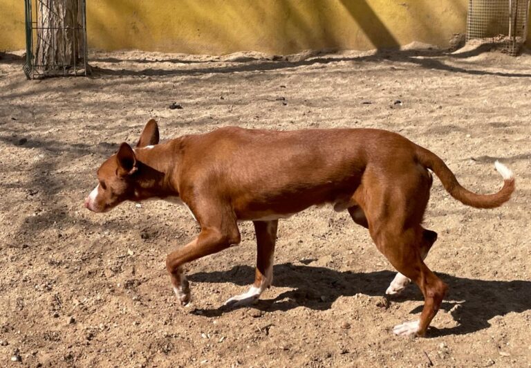 multimedia-foto77272-956-1