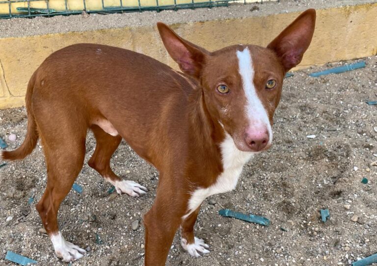 multimedia-foto77273-957-1