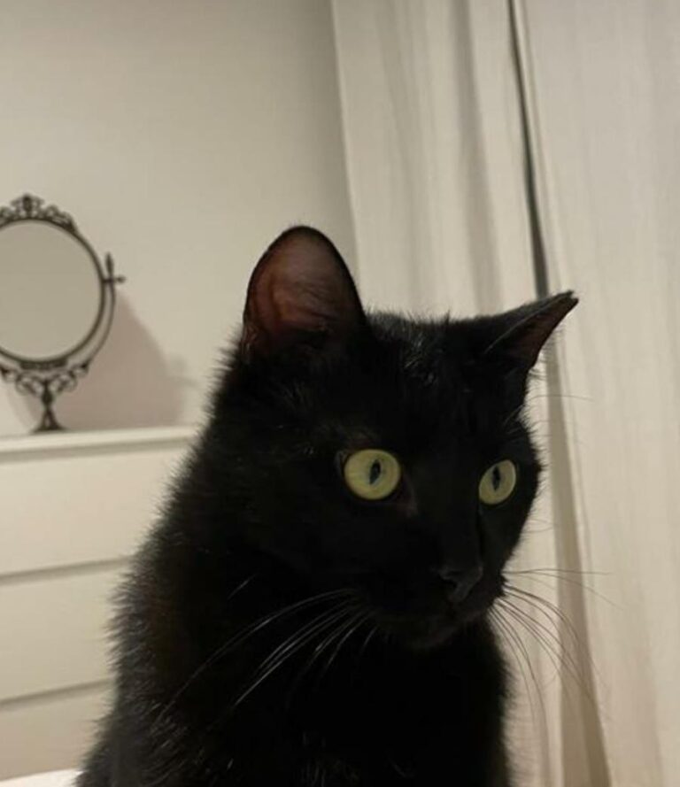 multimedia-foto77274-245-1